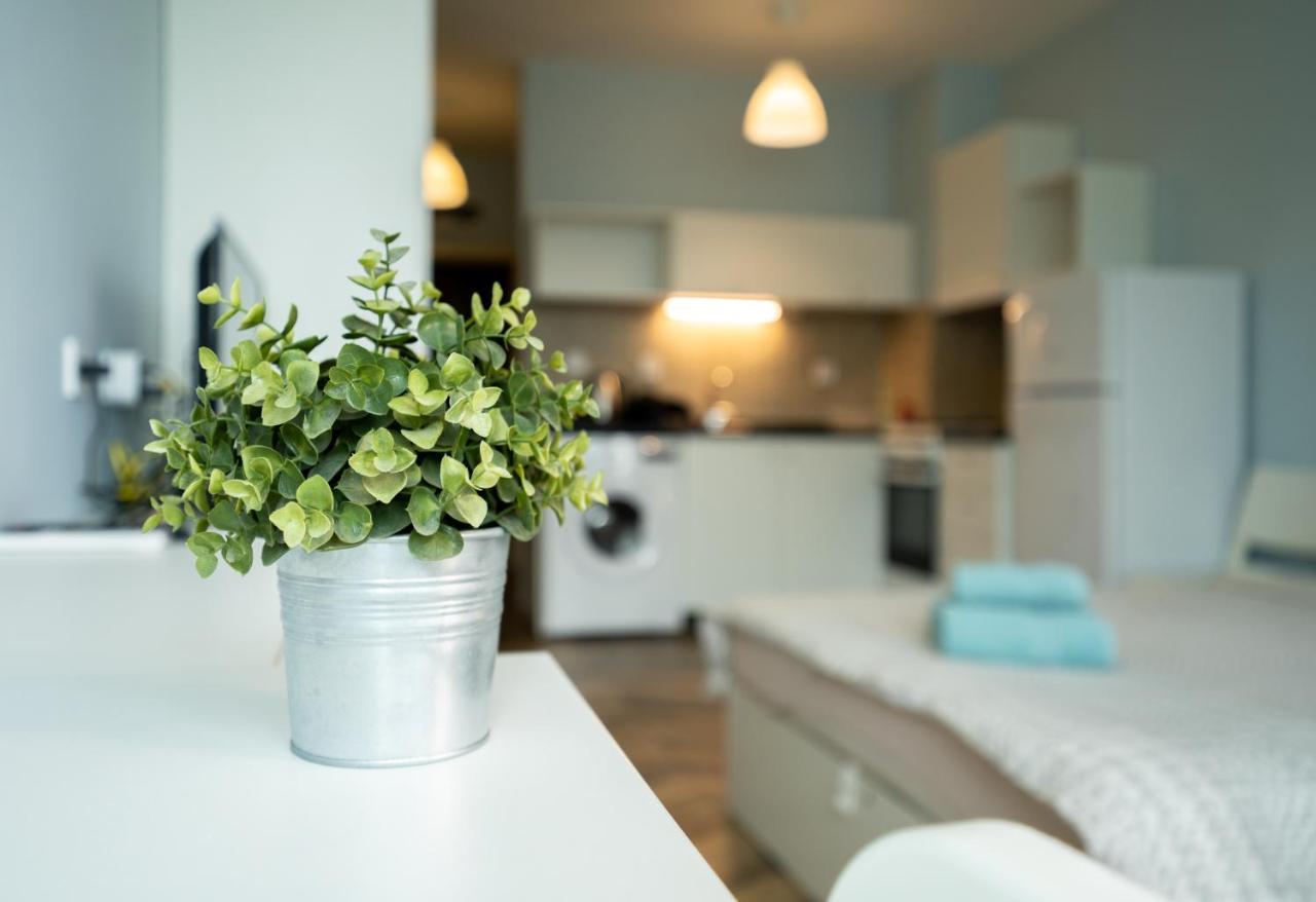 Cozy Little Apartment In Studentski Grad 索菲亞 外观 照片